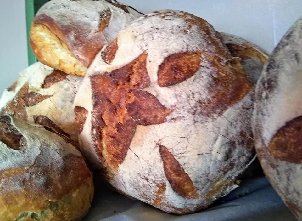 The Bear Bread Bakery B&B, Ensuite Rooms Above The Bakery, Colyton Exterior foto