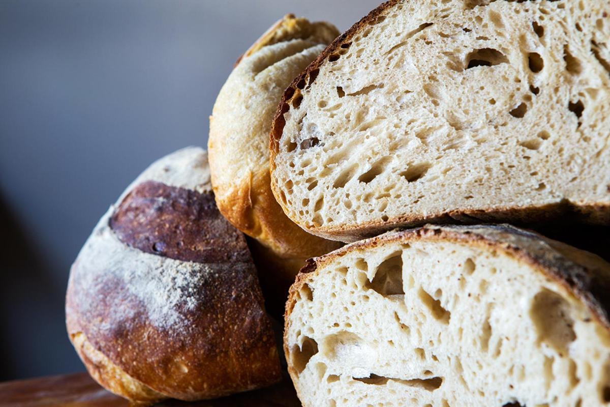 The Bear Bread Bakery B&B, Ensuite Rooms Above The Bakery, Colyton Exterior foto